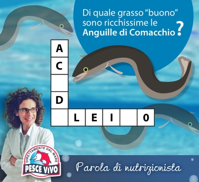 La nutrizionista consiglia: Anguille di Comacchio