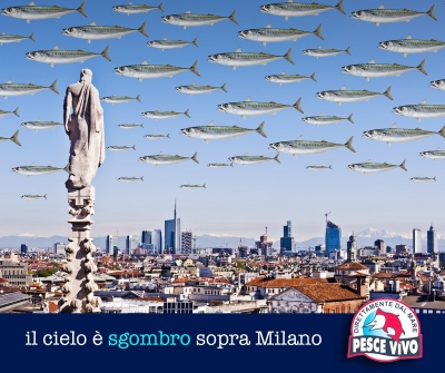 Il cielo è sgombro sopra Milano