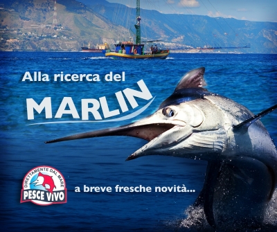 Alla ricerca del Marlin