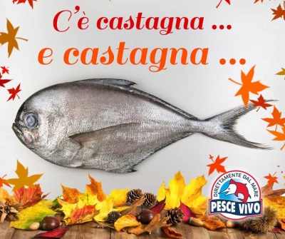 Pesce Castagna