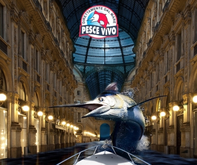 Il pesce spada appena uscito dal mare… a Milano?