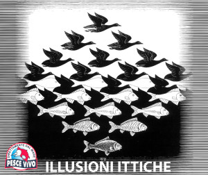 illusioni ittiche escher